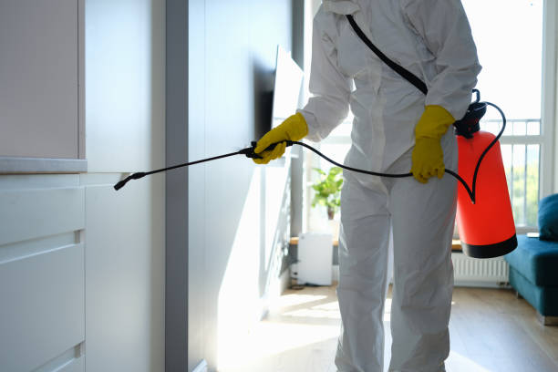 Professional Mold Remediation in West Columbia, SC